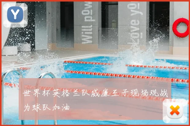 世界杯英格兰队威廉王子现场观战为球队加油
