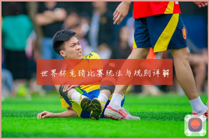 世界杯竞猜比赛玩法与规则详解
