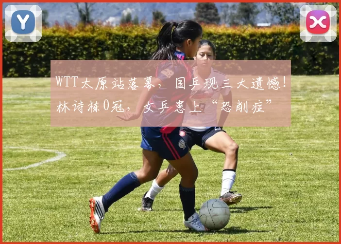 WTT太原站落幕，国乒现三大遗憾！林诗栋0冠，女乒患上“恐削症”