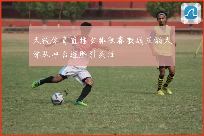 天视体育直播女排联赛激战正酣天津队冲击连胜引关注