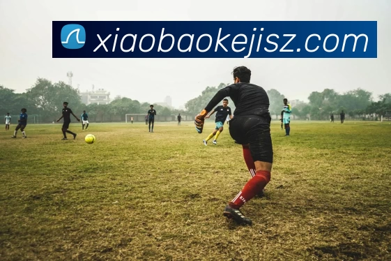 数据防护可视化